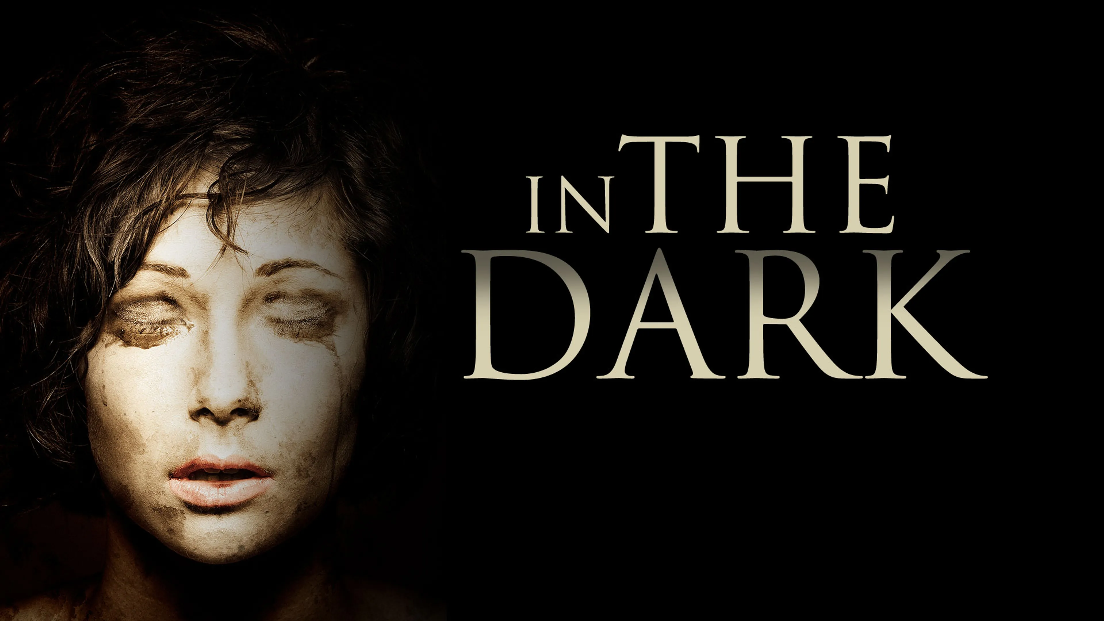 In The Dark poster
